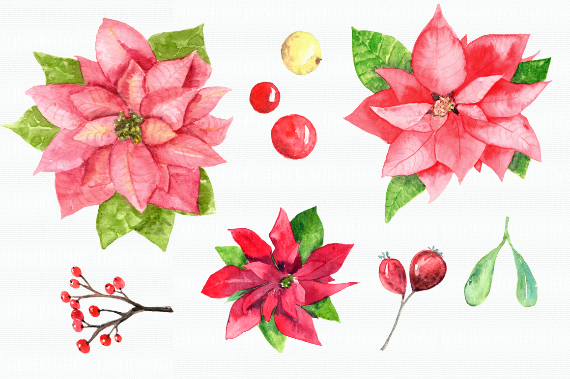 1160x772 Watercolor Poinsettia Clip Art Set