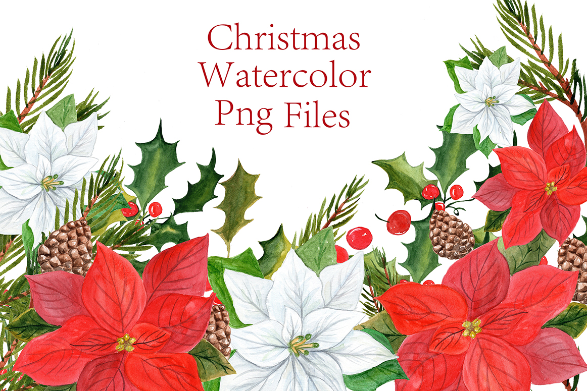 1162x775 Watercolor Poinsettias Clipart