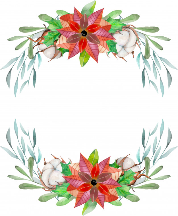 626x760 Watercolor Poinsettia And Cotton Flowers Vector Premium Download