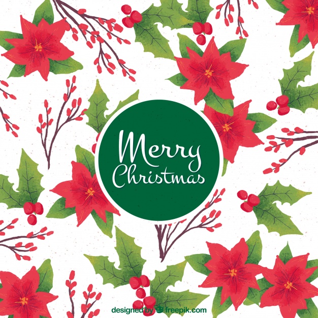 626x626 Watercolor Poinsettia Background Vector Free Download