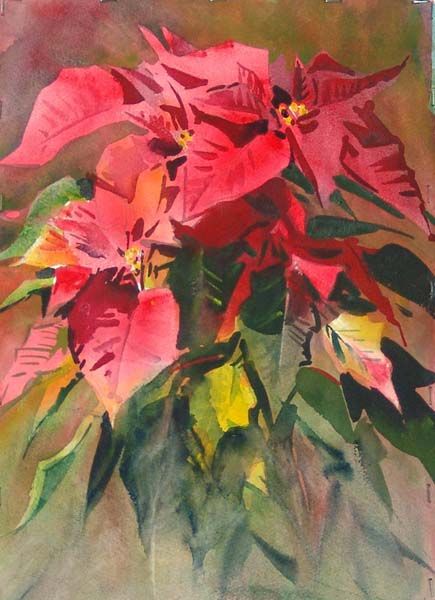 The best free Poinsettia watercolor images. Download from 114 free ...