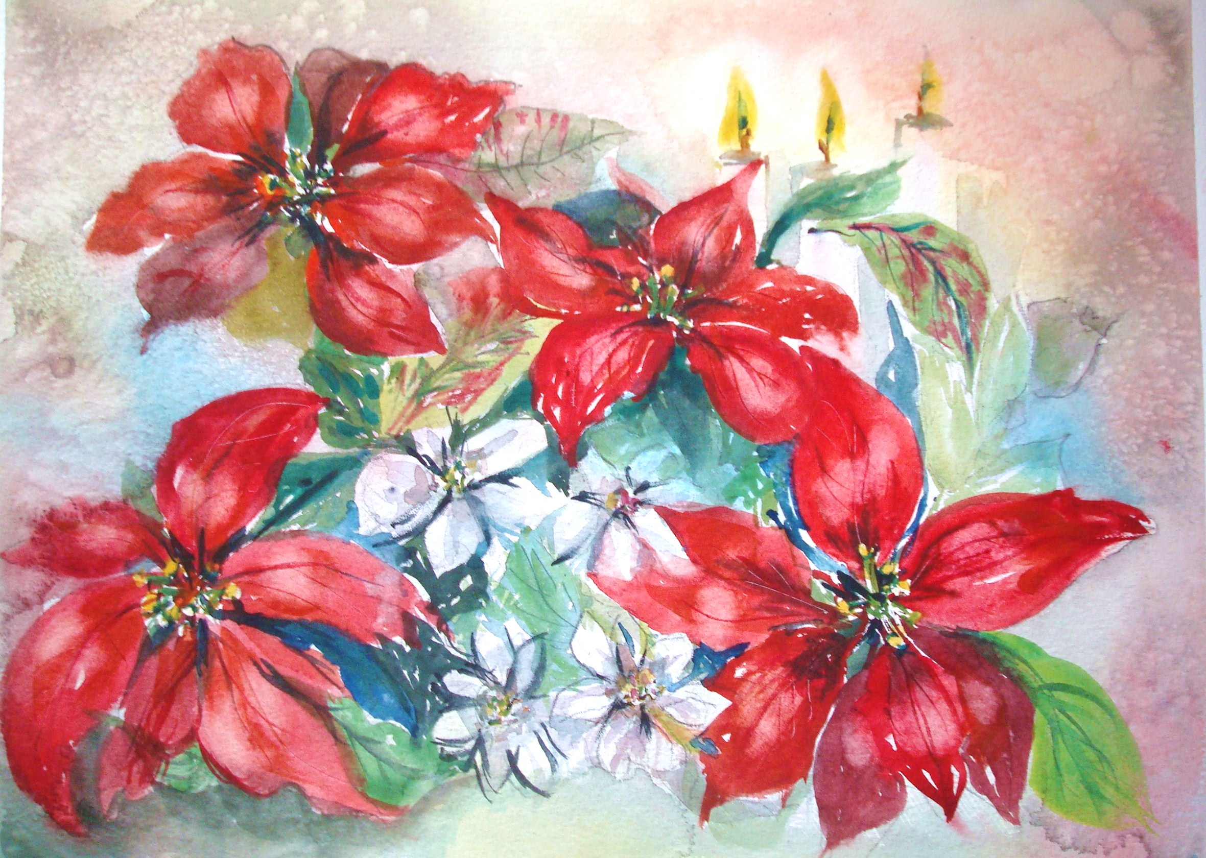 2361x1680 How To Paint Red Poinsettias In Watercolor (With Pictures)