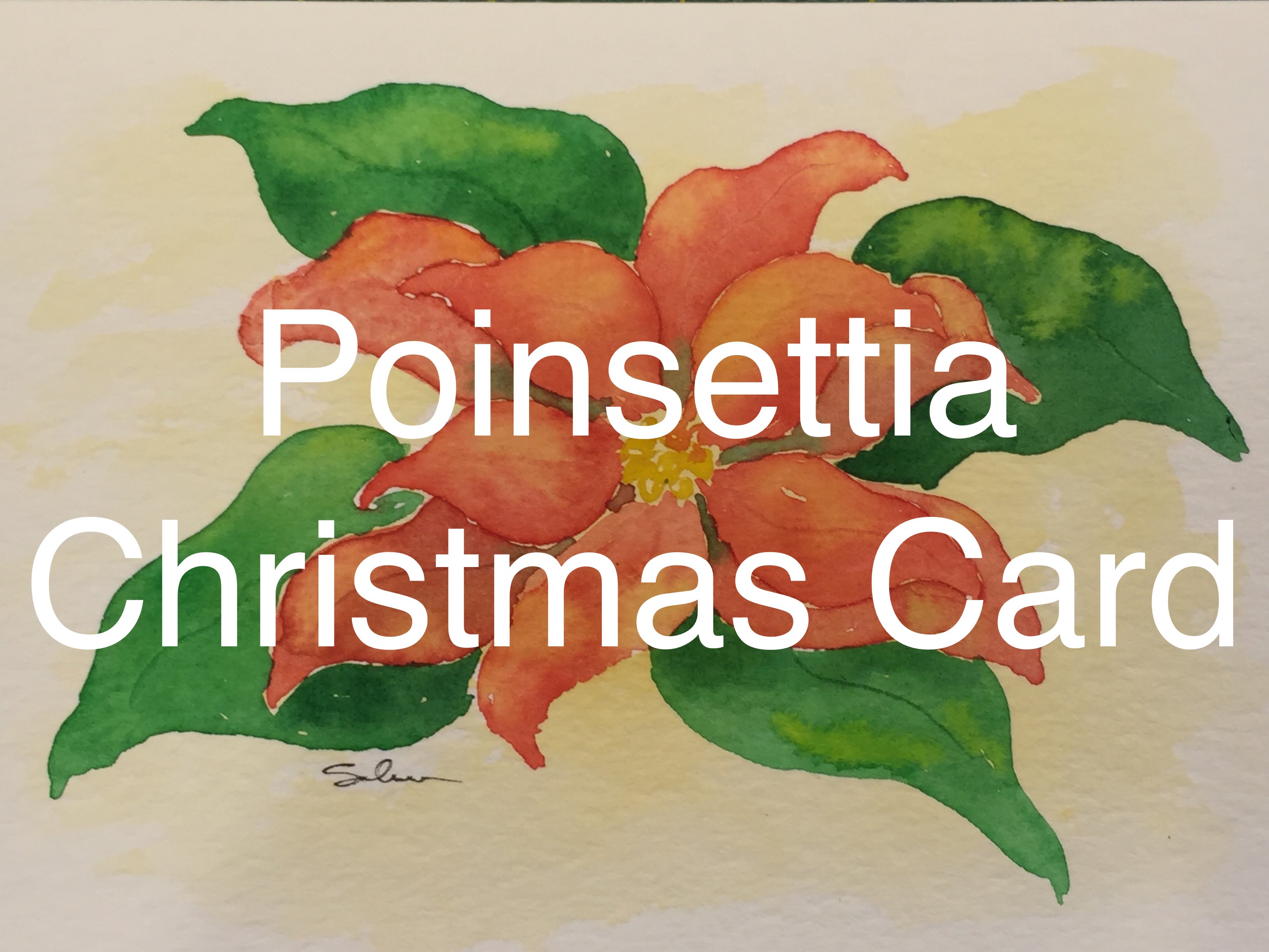 3264x2448 How To Paint A Poinsettia In Watercolour Watercolor Christmas Card
