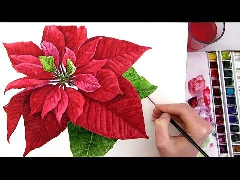 480x360 How To Paint A Realistic Poinsettia For Your Christmas Card In