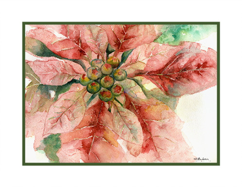 498x384 One Poinsettia Watercolor Note Cards