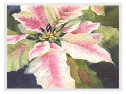 425x318 Poinsettia Watercolor Greeting Cards