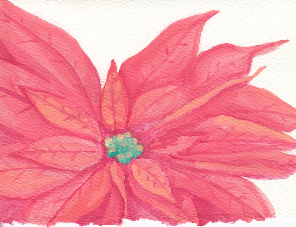 599x460 Watercolor Poinsettia Christmas Card By Marzarelo