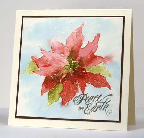 480x462 Watercolour Pointsettia Poinsettia, Watercolor And Cards