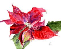 214x170 Watercolor Poinsettia Card
