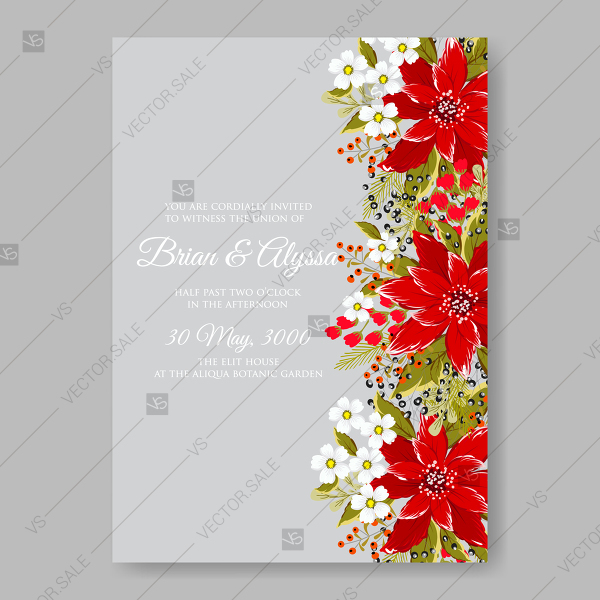 600x600 Brightly Red Christmas Of Poinsettia Flowers Vector Wedding