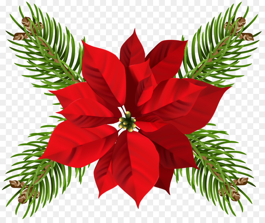 900x760 Poinsettia Flower Christmas Clip Art
