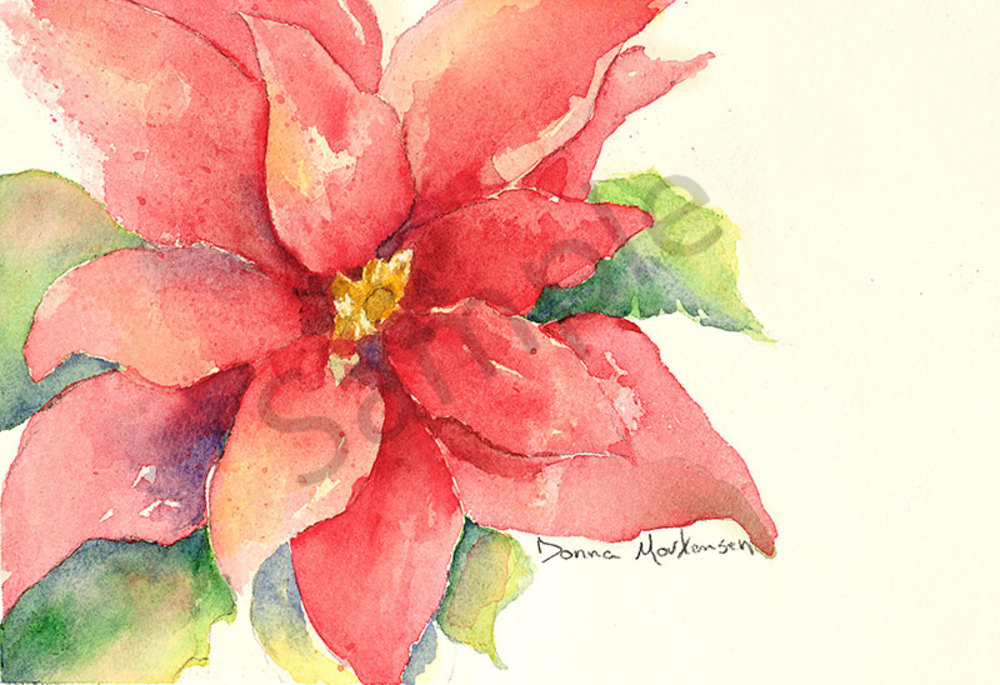 1000x685 Poinsettia Flower Watercolor Painting By Donna Mortensen.