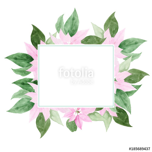 500x500 Poinsettia Flower. Christmas Star Watercolor. Hand Painted Sketch