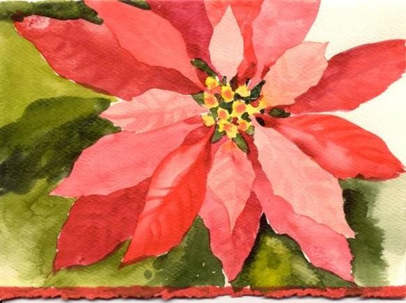 583x435 Susie Short S Watercolor Christmas Cards Painting Poinsettias