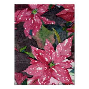 307x307 Watercolor Poinsettia Flower Art Amp Wall Zazzle