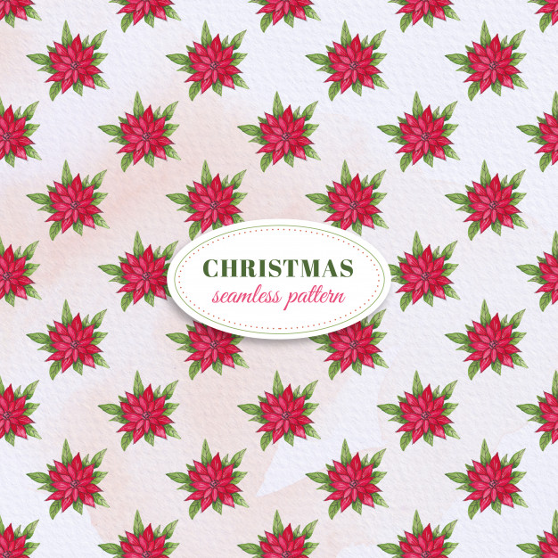 626x626 Watercolor Poinsettia Pattern Vector Premium Download