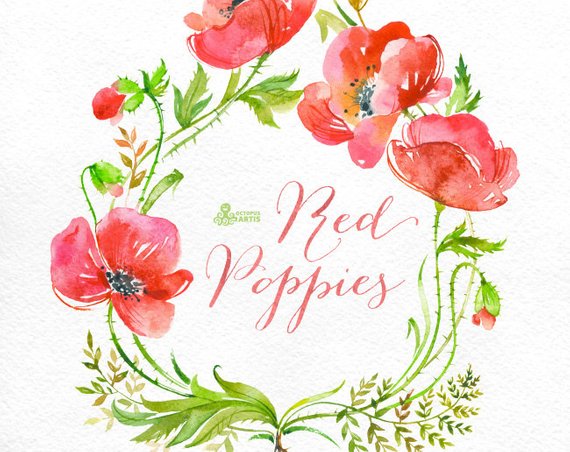 570x452 Red Poppies Frame. Handpainted Watercolor Poppy Wreath Etsy