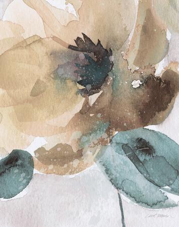 354x450 Watercolor Poppy Ii Art Print By Carol Robinson