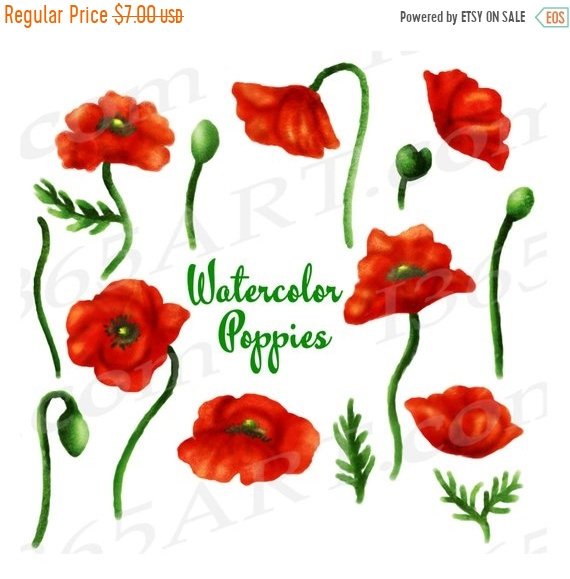 570x579 50% Off Poppy Clipart, Watercolor Poppies Clip Art, Watercolor