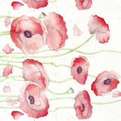 173x173 Watercolor Poppy Single Border Wallpaper