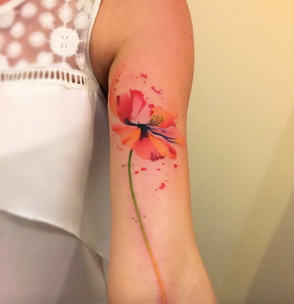 595x616 Watercolor Poppy Tattoo
