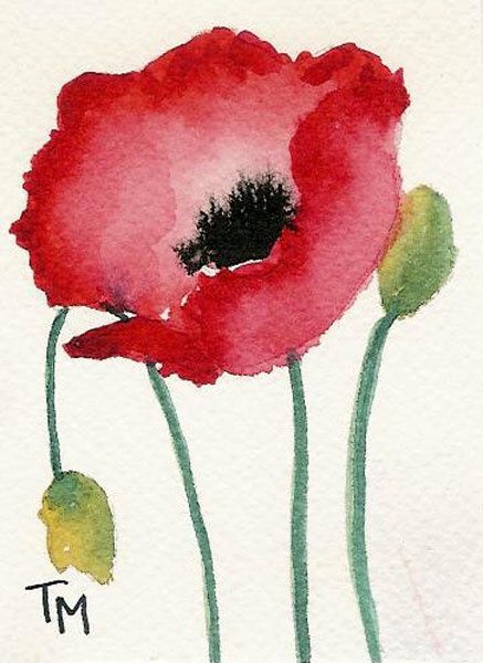 437x600 Aceo Poppy Series