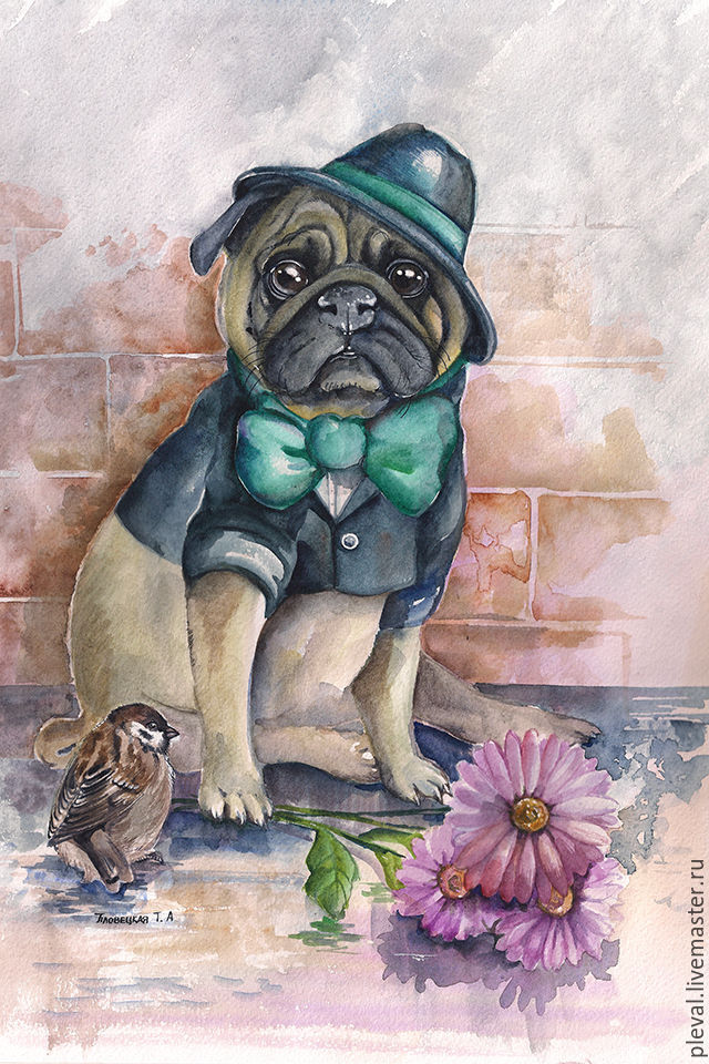 640x960 Painting Watercolor Dog Pug
