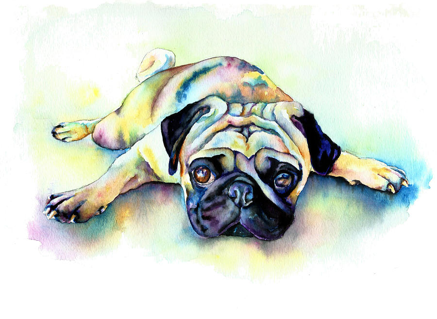 900x657 Pug Laying Flat Painting By Christy Freeman