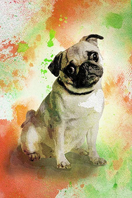 453x679 Dogs Pugs Painting Watercolor Splash Background Art