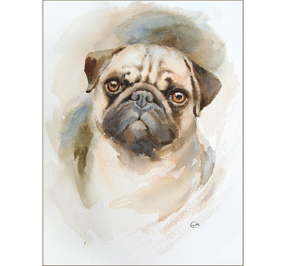 570x529 Watercolor Pug Portrait