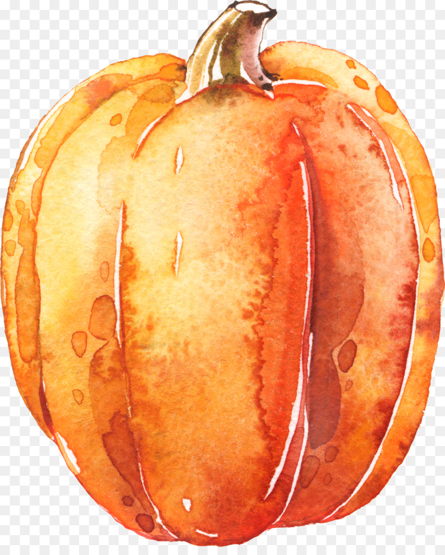 900x1120 Pumpkin Calabaza Transparent Watercolor Halloween