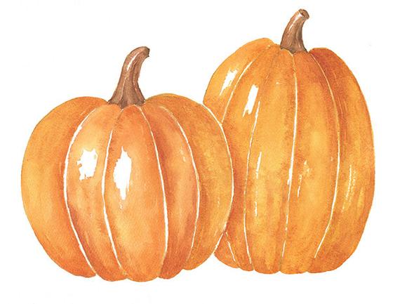 570x433 Two Watercolor Pumpkins Png Clipart 8x10 Watercolor Print Etsy