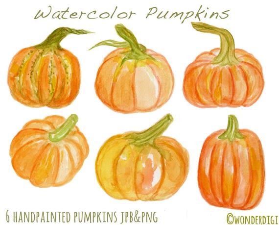 570x459 Watercolor Clipart Watercolor Pumpkins Clip Art Harvest Etsy