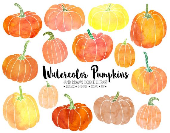 570x446 Watercolor Pumpkin Clipart. Hand Drawn Thanksgiving Pumpkins. Etsy