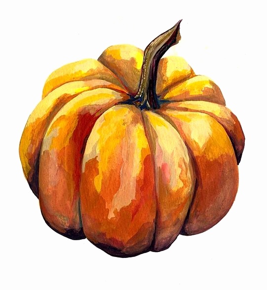 541x588 Watercolor Pumpkin Png Elegant 189 Best Fall And Thanksgiving
