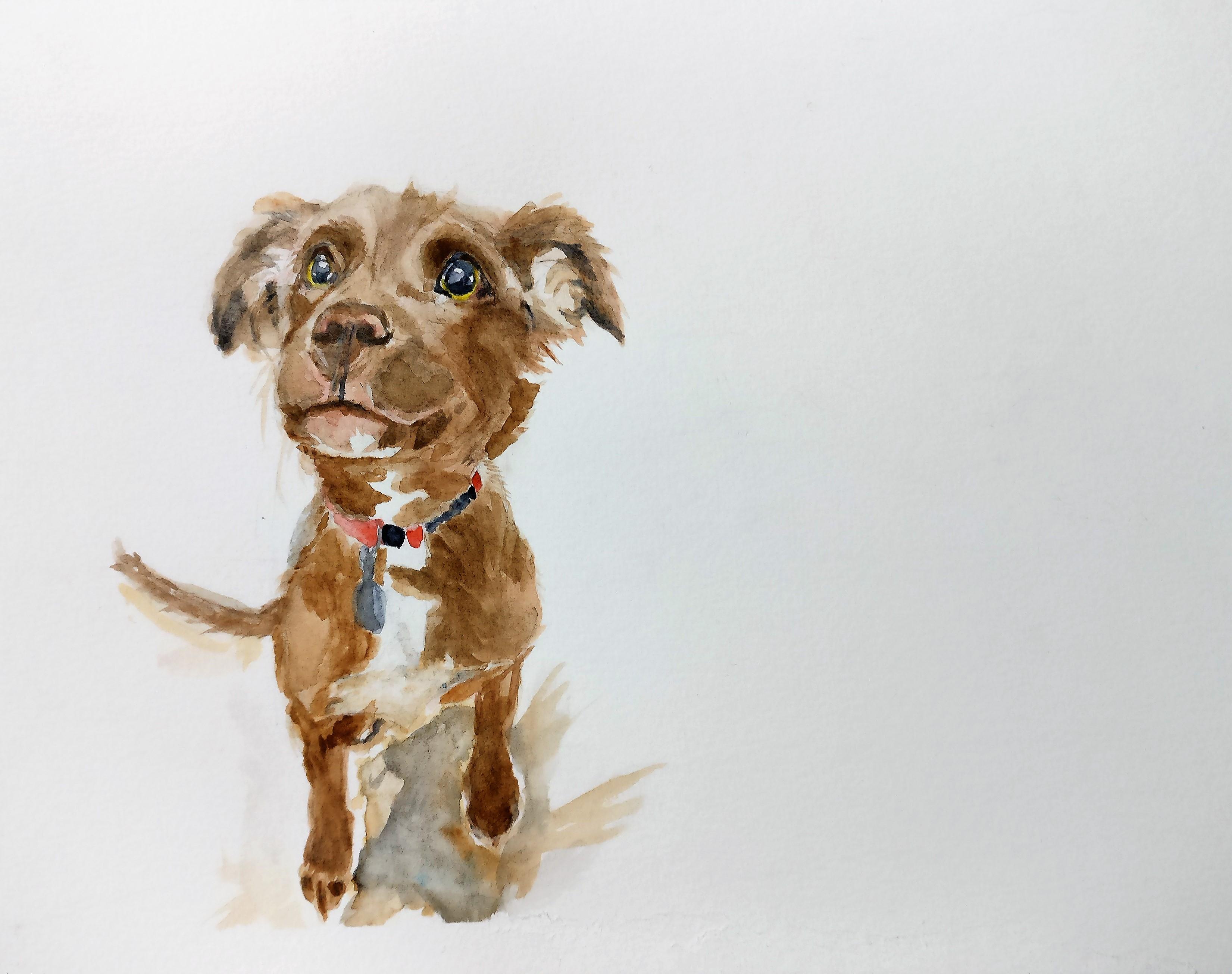 3302x2609 Puppy From Reddit, Watercolours, A4 Art
