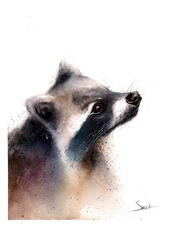 629x800 Raccoon Watercolor Print Watercolor Animal Paintings