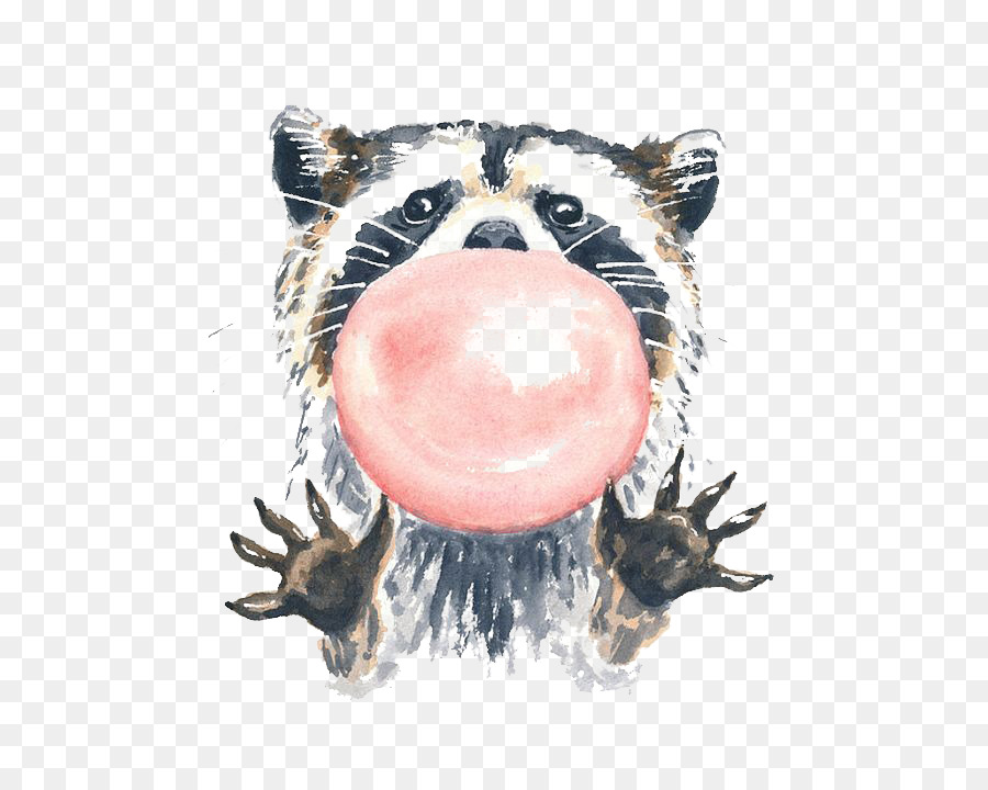 900x720 Raccoon Watercolour Flowers Watercolor Painting Illustration
