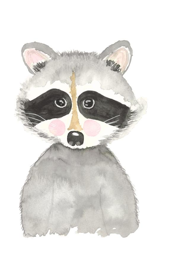 570x855 Watercolor Raccoon Notecards Etsy