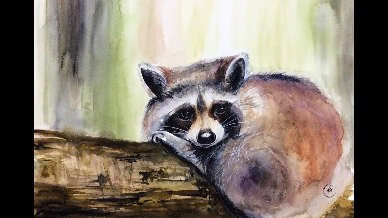 1280x720 Watercolor Raccoon Painting Demonstration