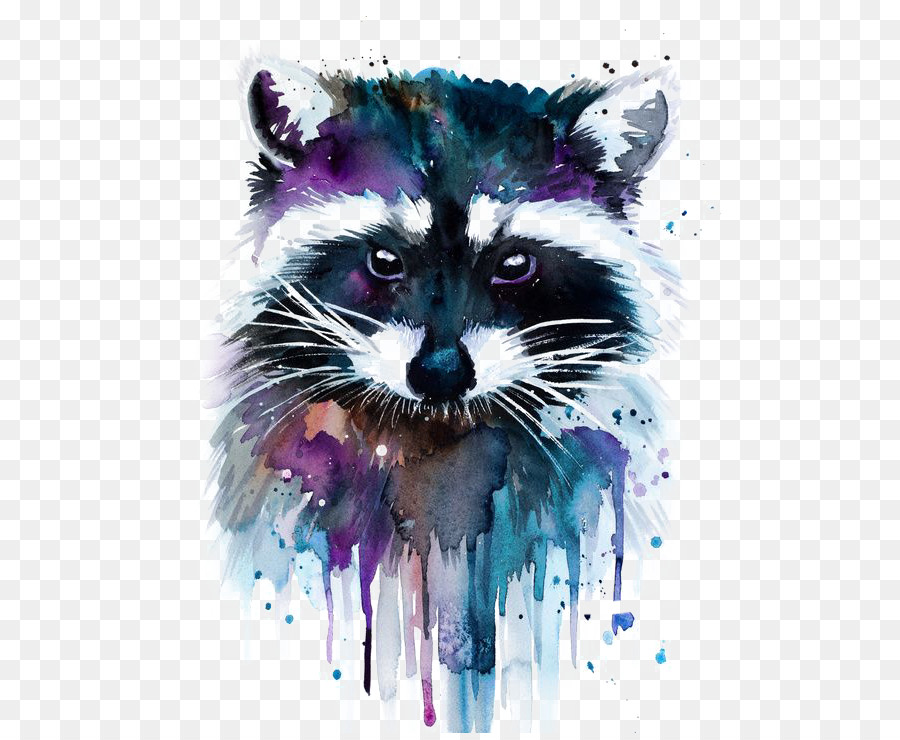 900x740 Watercolor Painting Artist Raccoon