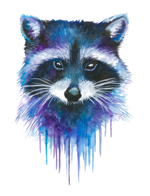 498x647 Raccoon