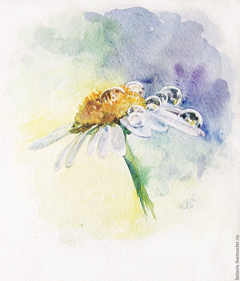 1024x1199 Watercolor Daisy After The Rain Shop Online On Livemaster With