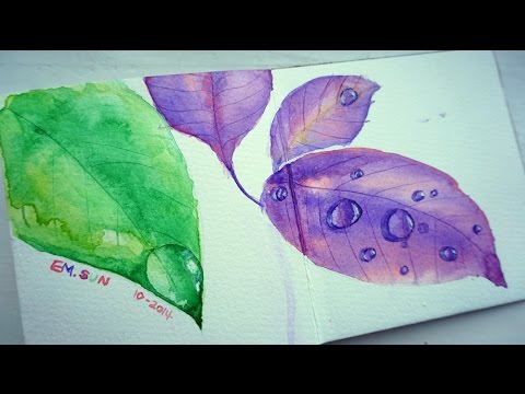 480x360 Watercolour Journal Time Lapse Leaves With Rain Drops