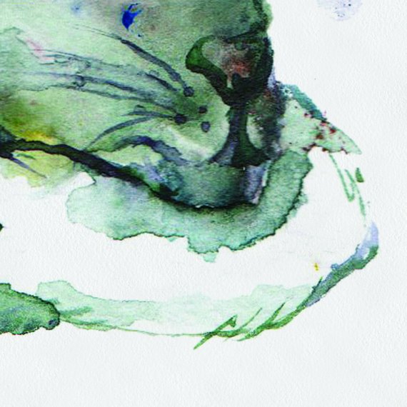 570x570 Green Watercolor Rat Baby Rat Painted Baby Rat On Canvas Rats