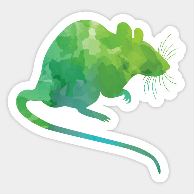 630x630 Watercolor Rat