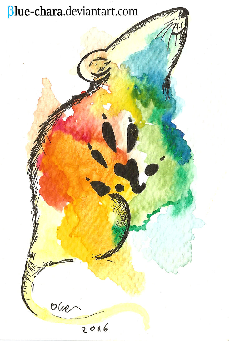 733x1090 Watercolor Rat By Blue Chara