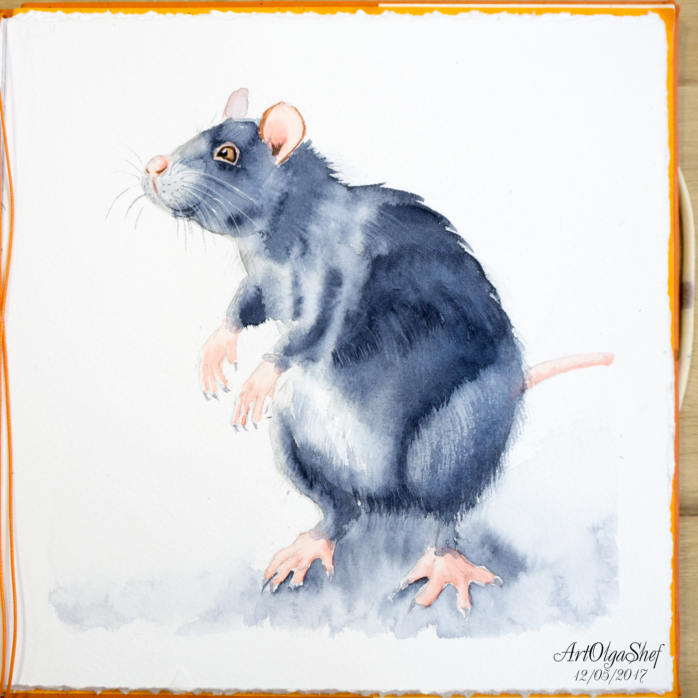 1400x1400 Watercolor Rats. On Wacom Gallery
