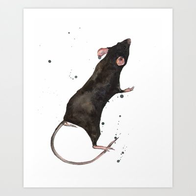 400x400 Rat