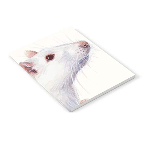 463x463 Society6 White Rat Watercolor Albino Rat Animal